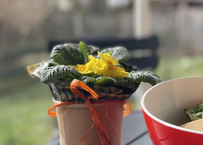 Haus Am Reithagen Hofgeismar